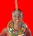 Kenya Airways Model.